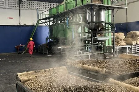 Sénégal : la taxe sur l’anacarde cristallise les tensions entre exportateurs et transformateurs