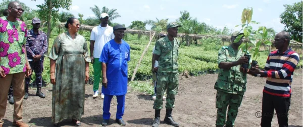 Au Togo, les plants de cacao et de café redessinent une filière en quête de compétitivité