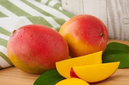 Sénégal : la ruée vers l'or noir et la résilience de la mangue, les deux moteurs d'une économie en mutation