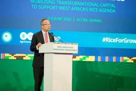 Riz en Afrique de l'Ouest : les promesses de 2035 à l'épreuve des réalités