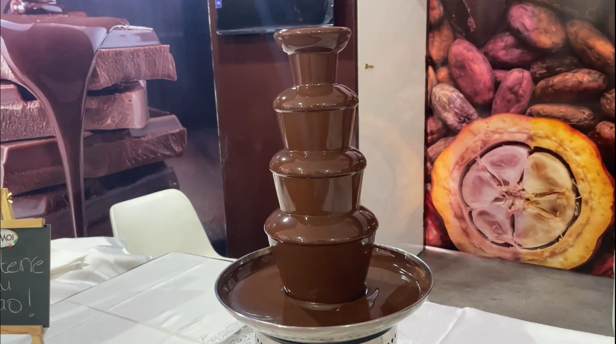 Cacao ivoirien : un prix stable qui interroge la durabilité de la filière