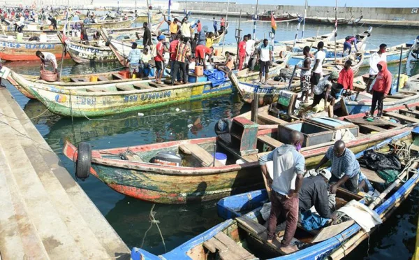 Pêche artisanale en Afrique de l'Ouest : Lomé tente de structurer un secteur clé