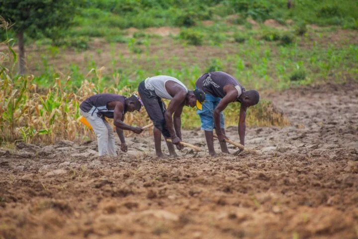 Insécurité au Nigeria : le secteur minier ouest-africain sous la menace terroriste