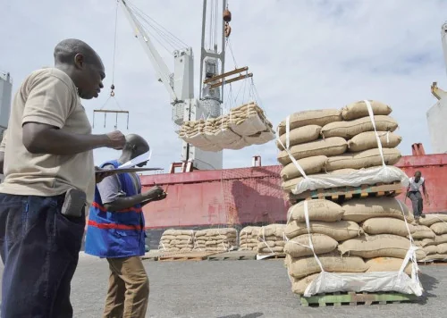 Cacao camerounais et textile ivoirien : deux filières face au défi de la transformation