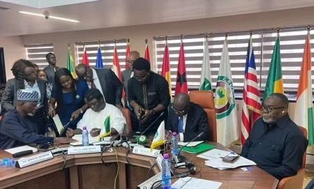 Financement solaire au Nigeria, reprise minière au Burkina : les dilemmes de la transition