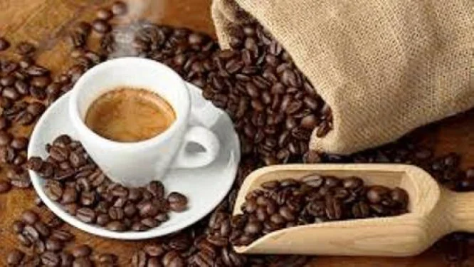 Cameroun : un partenariat caféier qui éclaire les enjeux de la filière cacao