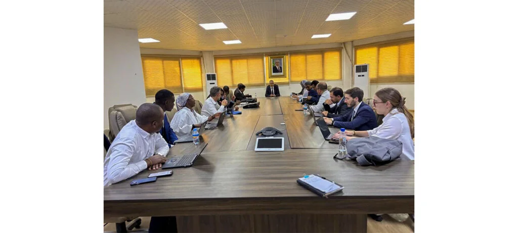 Mauritanie : le pari des indépendants pour accélérer la transition électrique