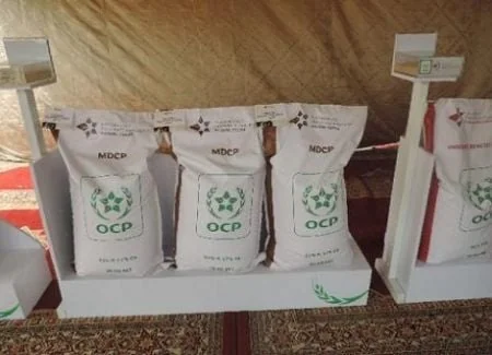Phosphate : la suspension des droits américains au Maroc fragilise les producteurs ouest-africains