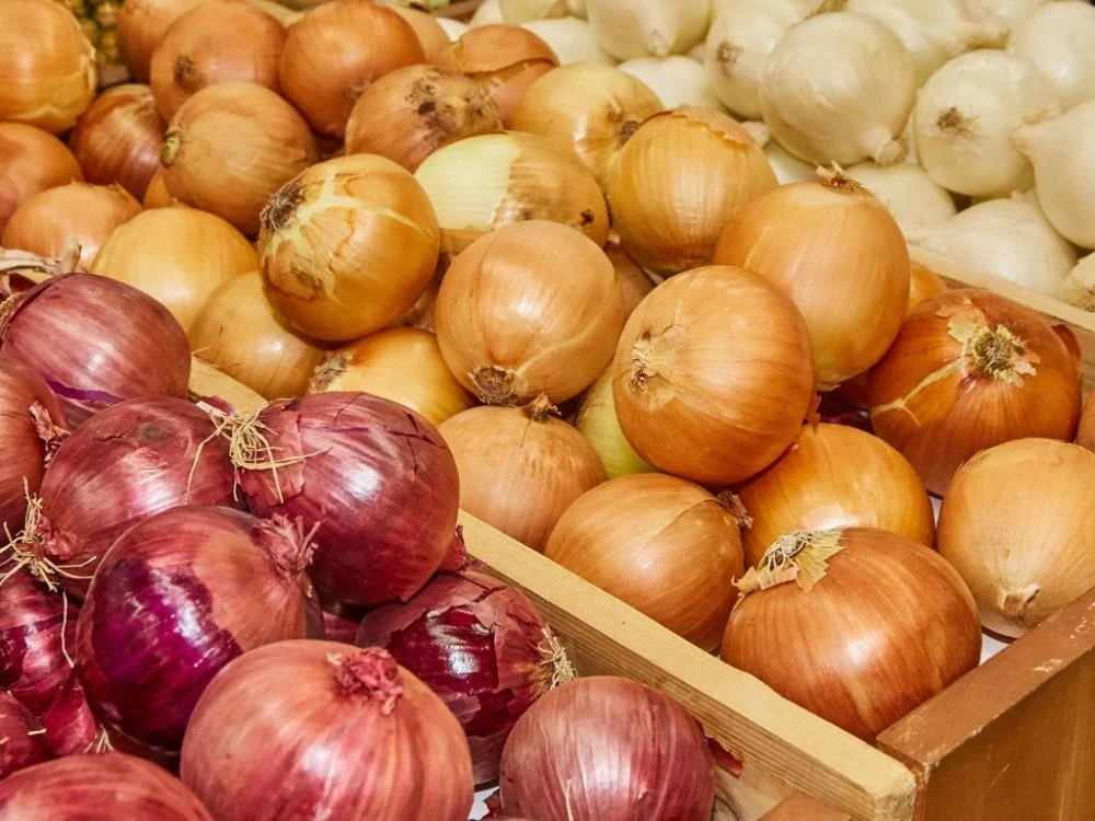 Souveraineté alimentaire en Afrique de l'Ouest : les défis structurels des filières stratégiques