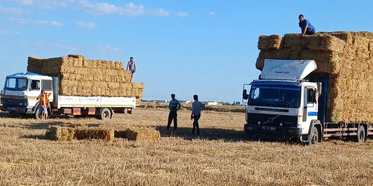 Tunisie et Bénin : deux visions pour les campagnes agricoles en Afrique
