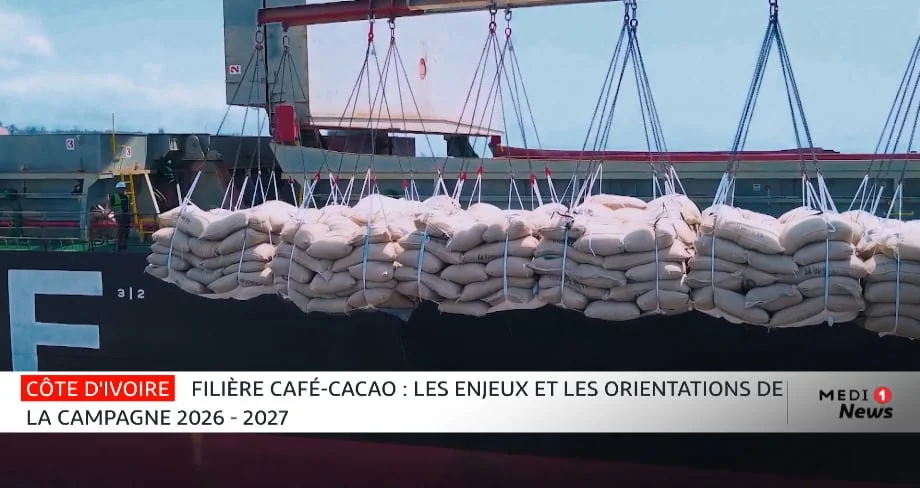 Côte d’Ivoire : la filière café-cacao se structure pour la campagne 2026-2027