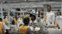 Coton béninois : la quête de souveraineté par la transformation locale