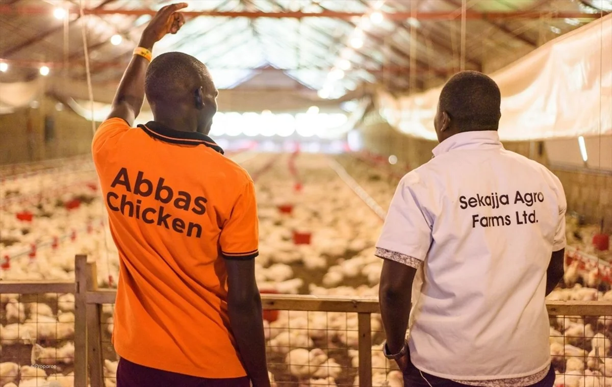 FSD Africa lance un programme de 400 M$ pour les PME : quel modèle pour l'Afrique de l'Ouest ?