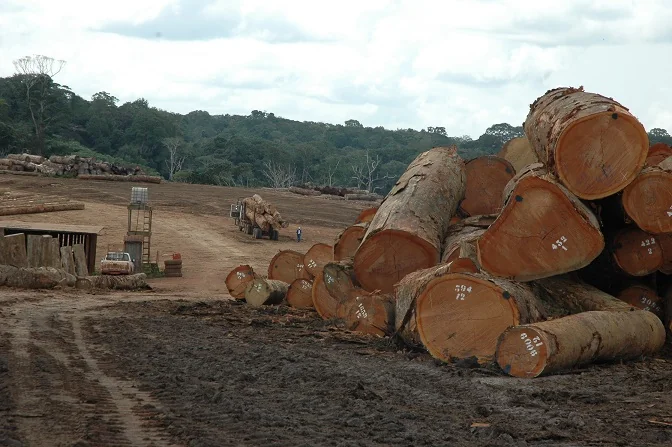 Resserrement fiscal au Gabon : quelles répercussions sur la politique monétaire de l'UEMOA ?