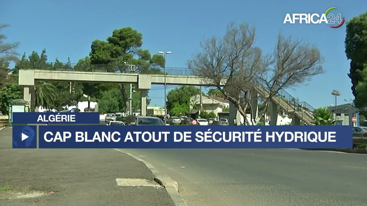Eau et énergie : le dessalement, nouveau pilier de la souveraineté ouest-africaine