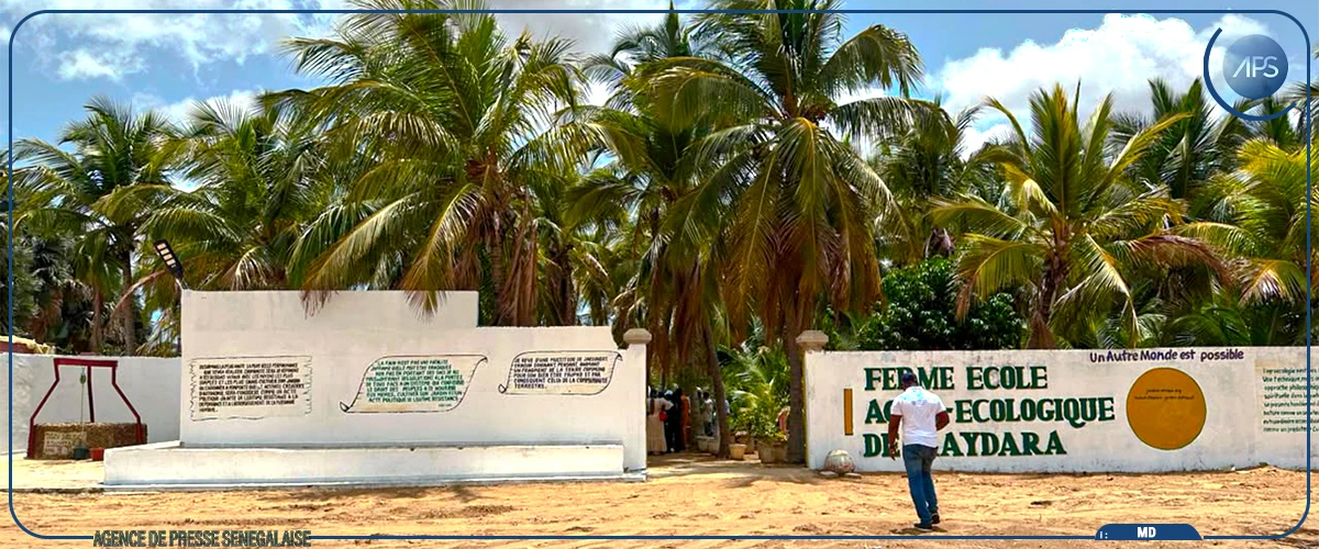FAO et agroécologie au Sénégal : former les femmes pour faire face au climat