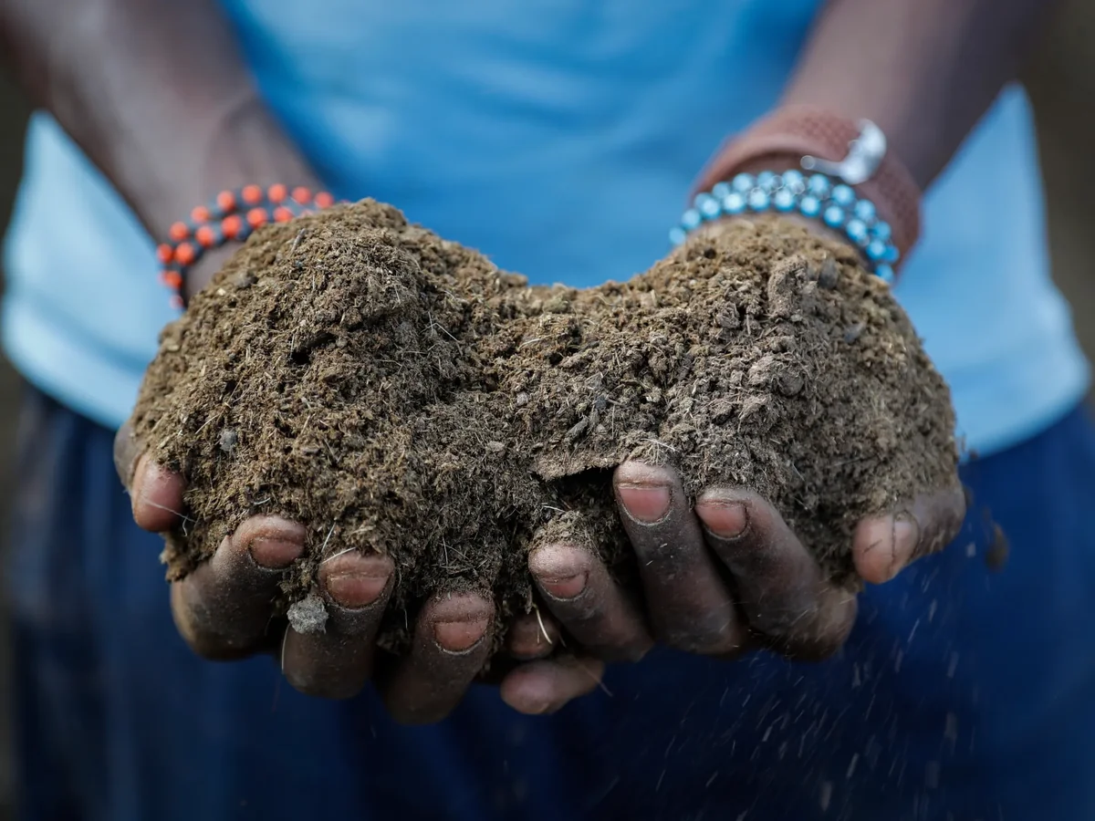Agriculture ouest-africaine : la transformation locale à l’épreuve de la dépendance aux intrants