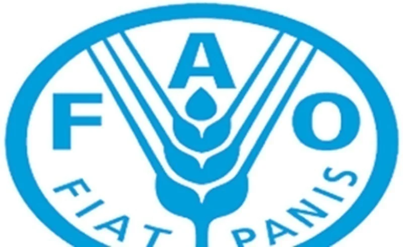 Ghana : la FAO affine sa réponse aux conflits agropastoraux dans les plaines de Kwahu Afram
