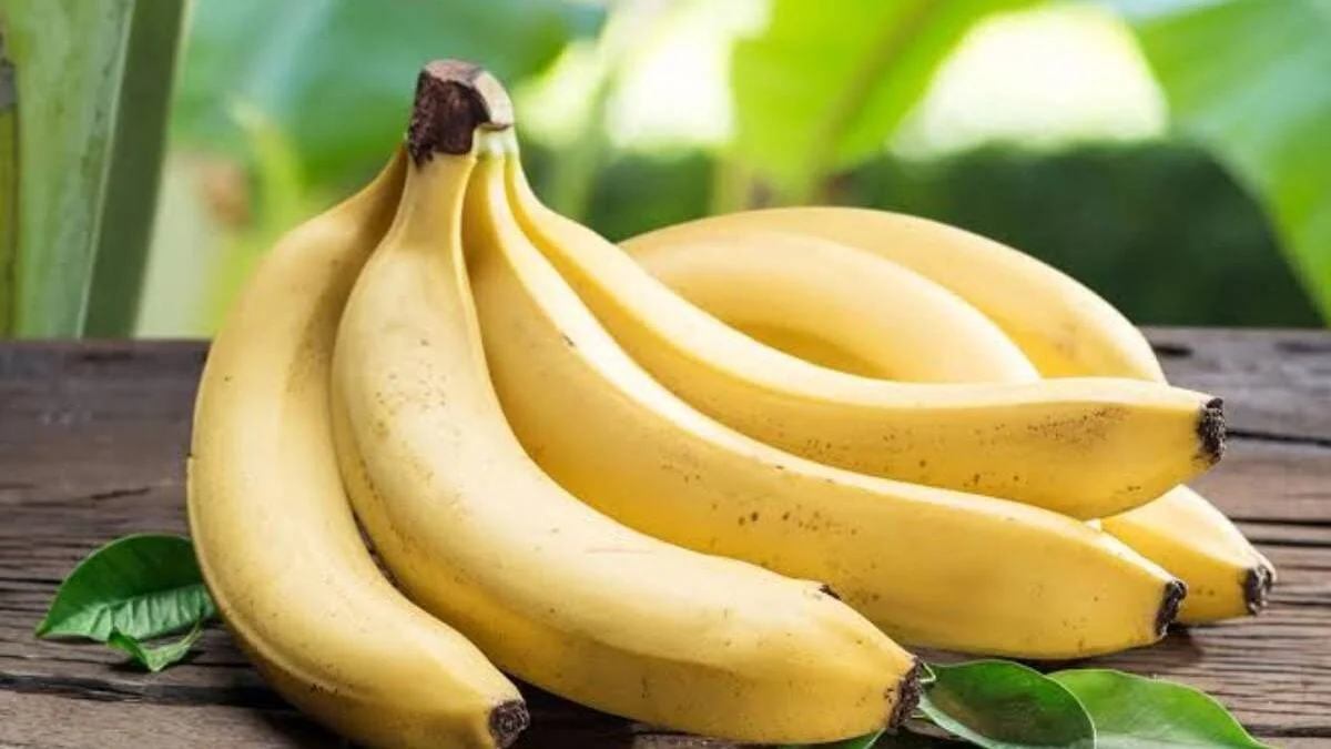 Banane dessert : le Nigeria produit, la Côte d'Ivoire exporte