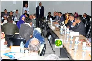 Gaz mauritanien pour l'électrification régionale : le pari de la souveraineté énergétique ouest-africaine