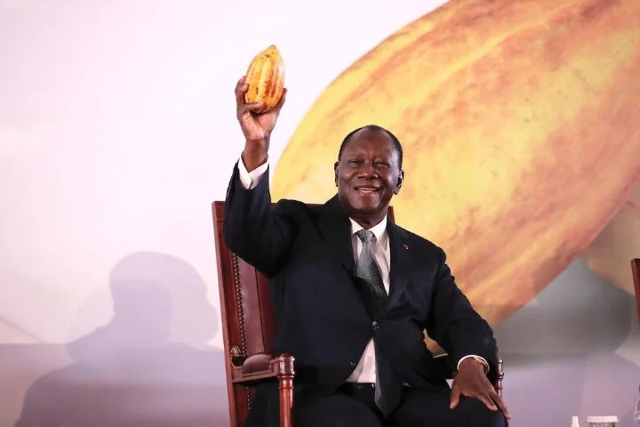 Côte d'Ivoire : le prix record du cacao, une promesse électorale devenue piège