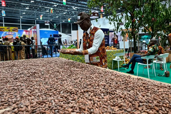 Cacao : Ouattara et Mahama renforcent le cartel ivoiro-ghanéen face aux défis du marché