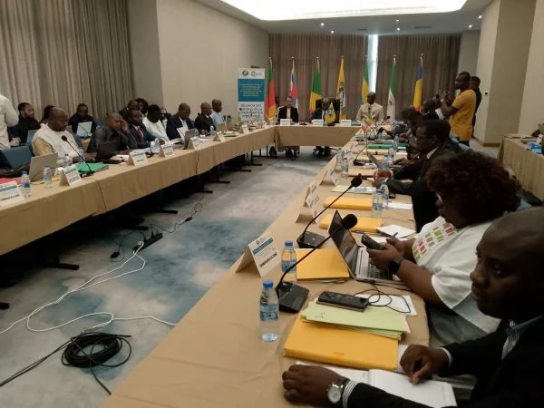Statistiques en Afrique centrale : un modèle pour l'UEMOA ?