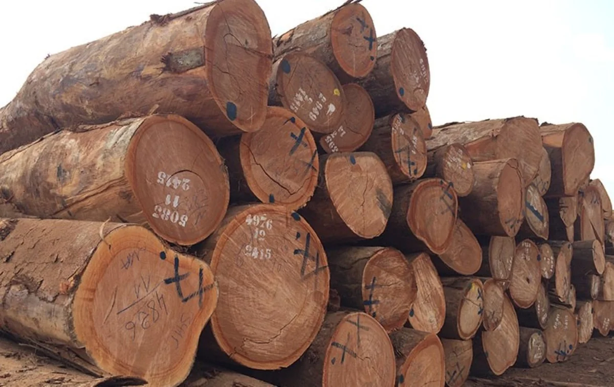 Export diversification et stabilité monétaire : quel modèle pour l'UEMOA ?