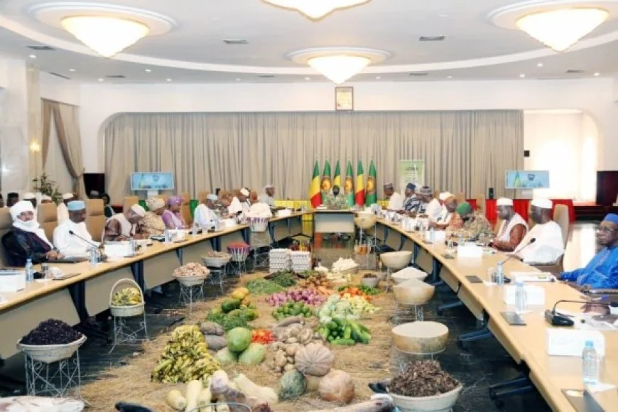 Mali : excédent céréalier record mais coton en berne, la transition agricole à l’épreuve