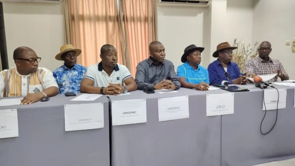 Côte d'Ivoire : 200 000 tonnes de cacao invendu, la filière au bord de la crise