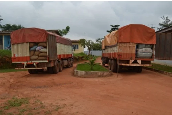 Cacao ivoirien : N'Zérékoré, plaque tournante des flux clandestins vers la Guinée