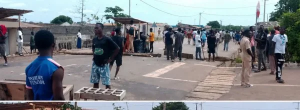 Crise cacaoyère à M'Batto : quand le non-paiement des récoltes ébranle la filière ivoirienne