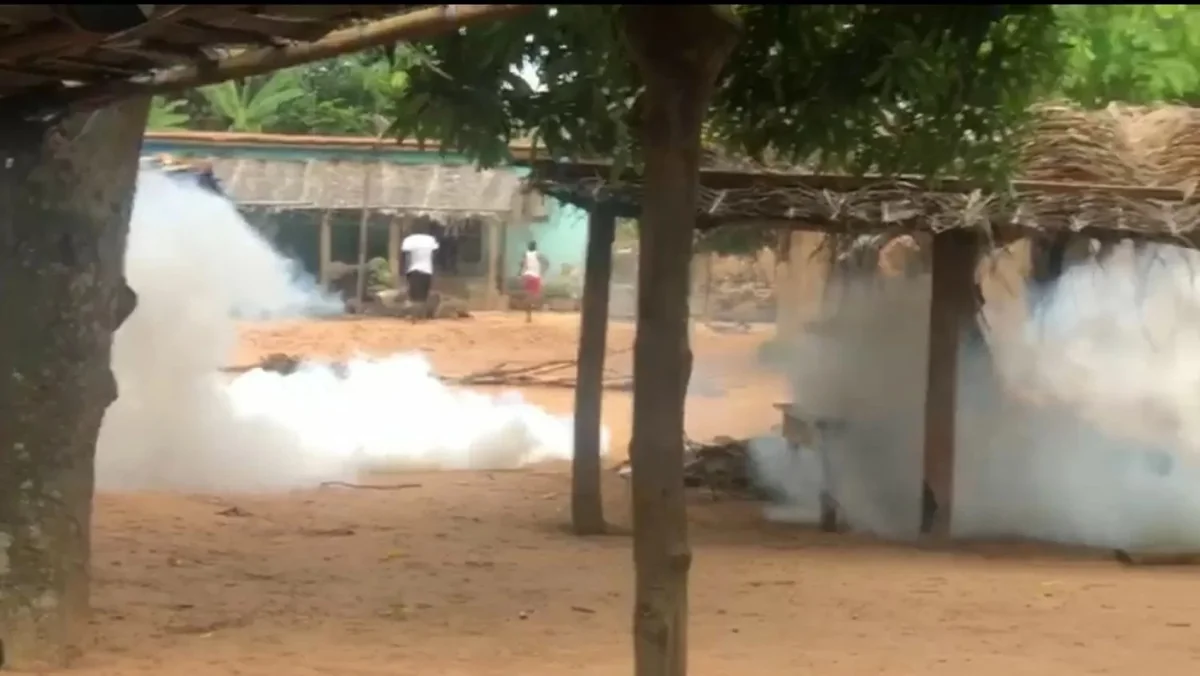 Crise cacaoyère en Côte d'Ivoire : la colère des producteurs reflète des fragilités structurelles