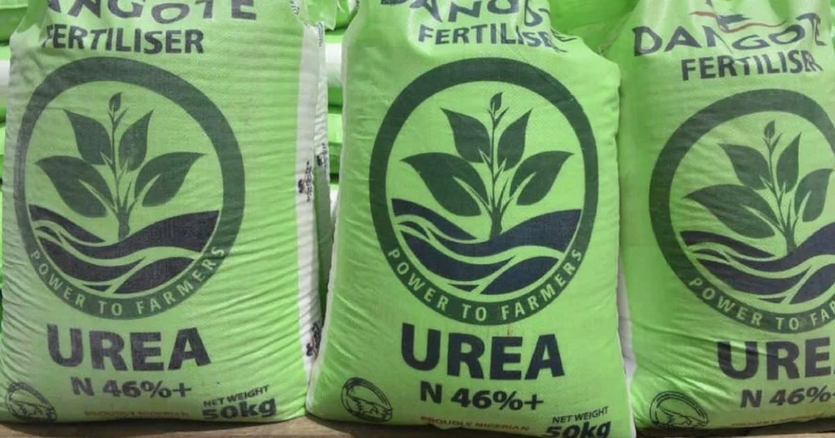 Engrais africains : Dangote et OCP redessinent la carte de la souveraineté alimentaire