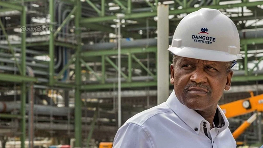 Kérosène de Dangote vers l'Europe : la refonte des flux énergétiques ouest-africains