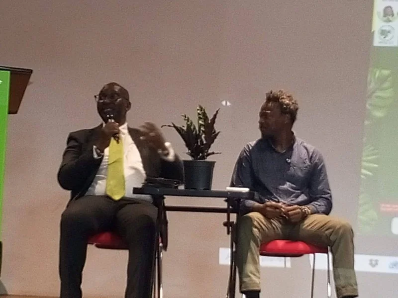 Transition écologique en Afrique de l'Ouest : outil ou défi pour la souveraineté énergétique ?