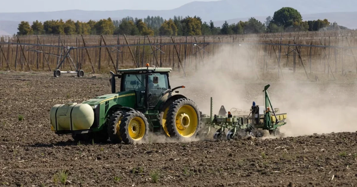 Russia fertilise l'Afrique de l'Ouest : vers une souveraineté rizicole en trompe-l'œil ?