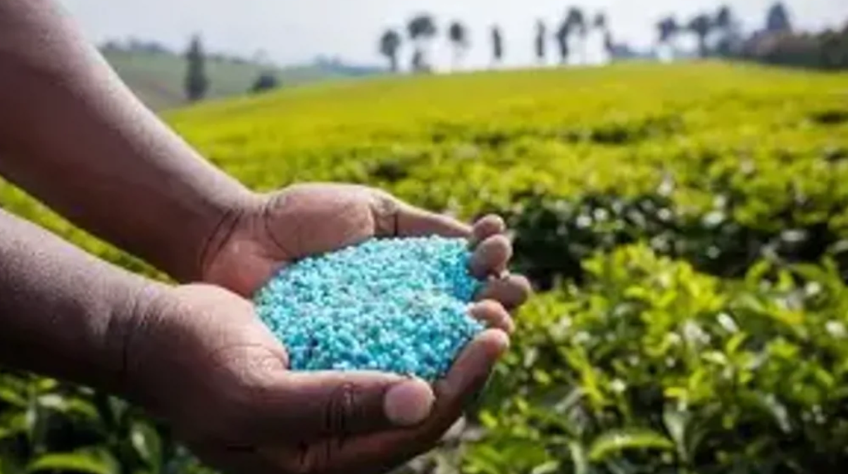Engrais : l'Afrique de l'Ouest face à la nouvelle donne géopolitique