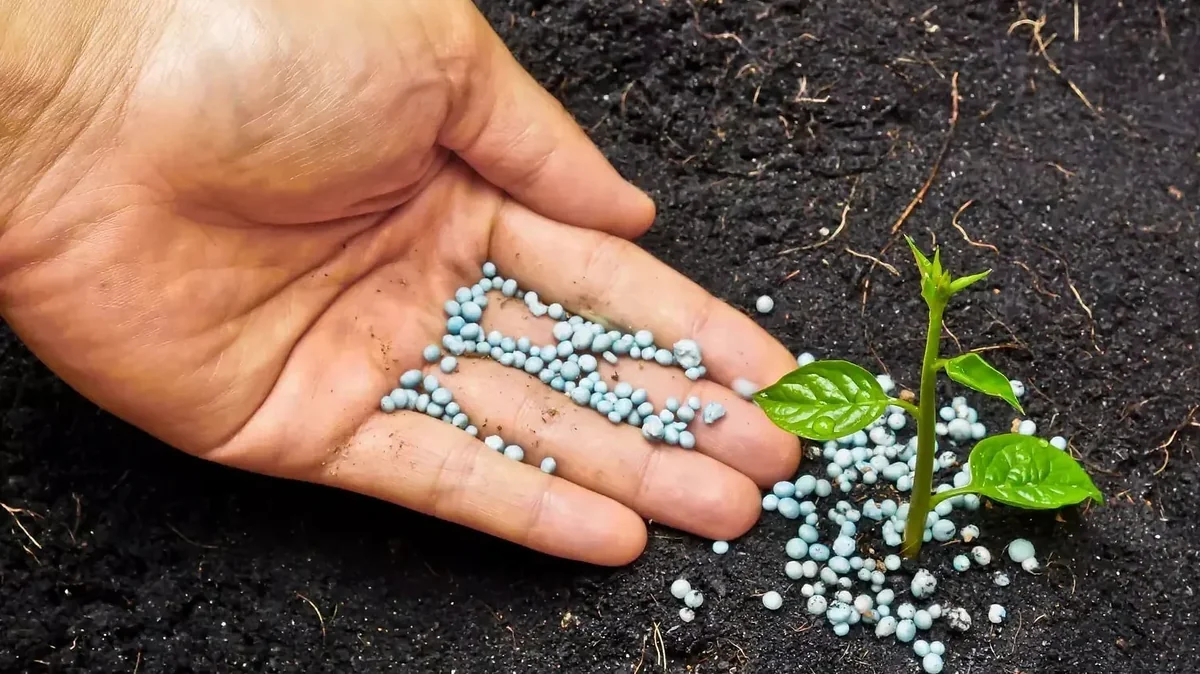 Phosphate marocain : une coalition agricole américaine réclame la levée des droits compensateurs