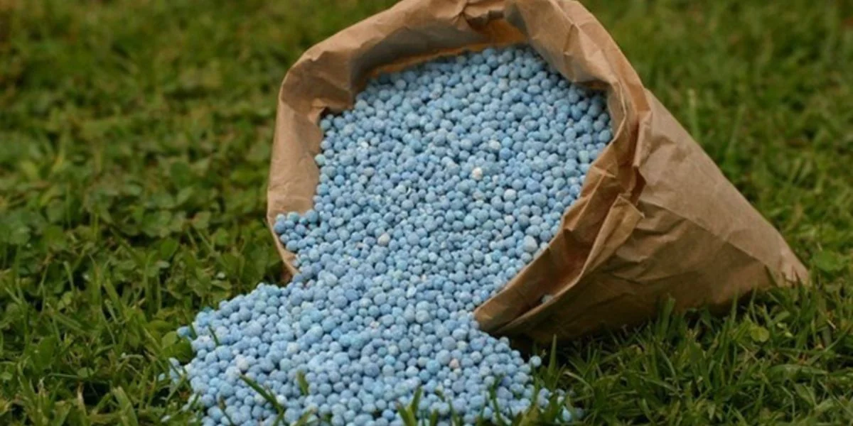 Levée des droits américains sur le phosphate marocain : les fragilités ouest-africaines exposées