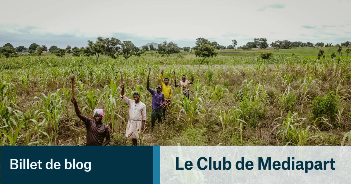 Engrais et pastoralisme : l'agriculture ouest-africaine à la croisée des chemins