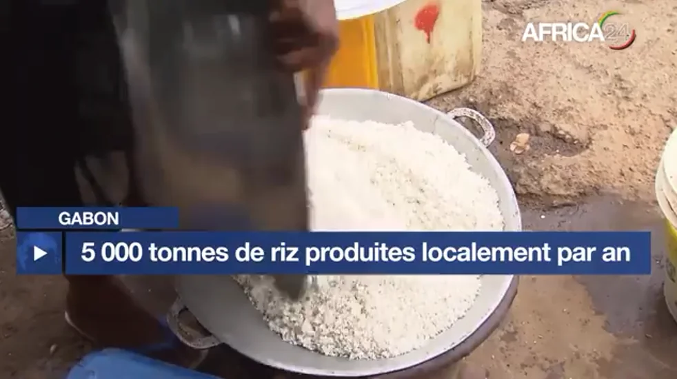 Gabon : la dépendance rizicole, miroir des fragilités ouest-africaines