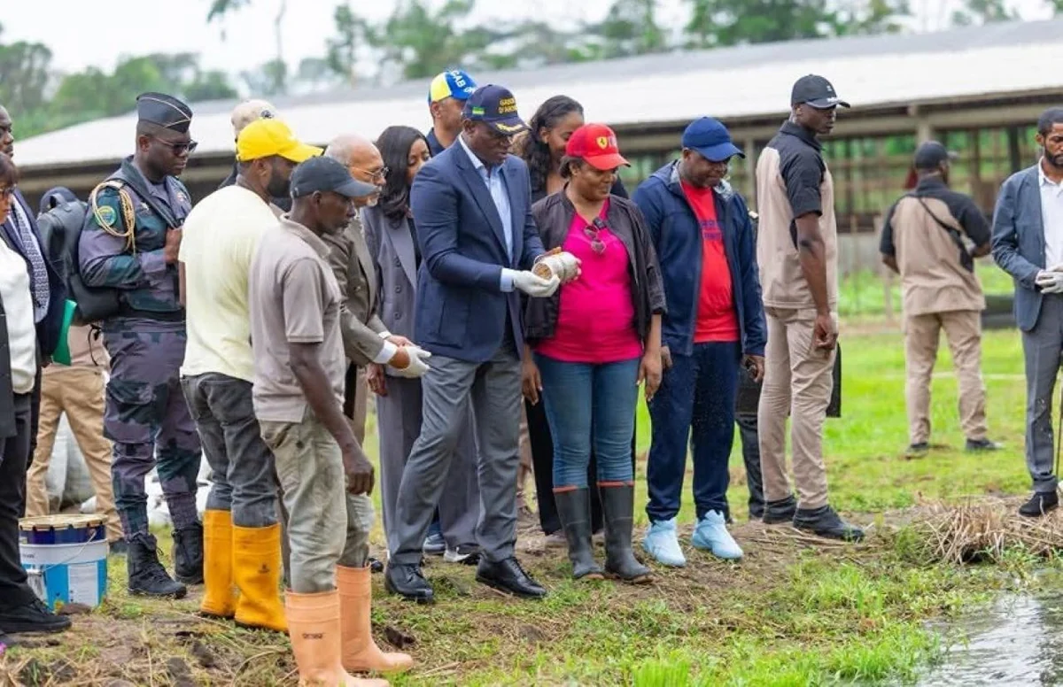 Gabon : le pari de l’indépendance alimentaire rebat les cartes de la BRVM
