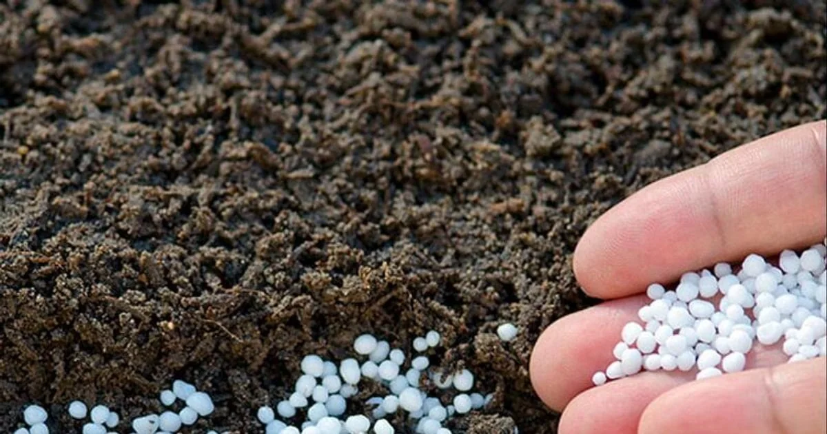 Phosphate ouest-africain : entre tensions locales et opportunités globales