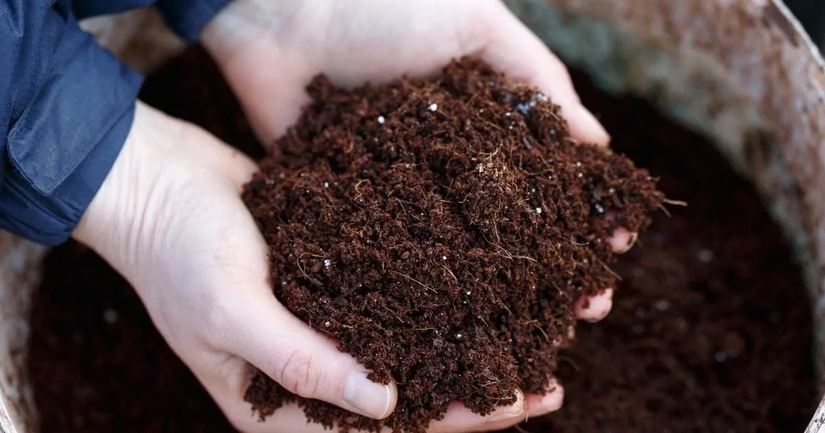 Phosphate en Afrique de l’Ouest : le regain des prix mondiaux des engrais redessine les enjeux