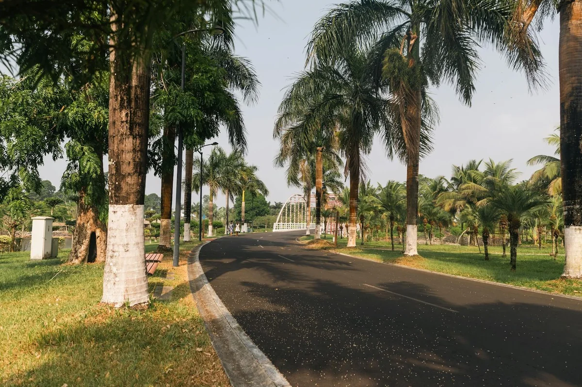 Guinée : le scrutin qui doit sceller la sortie de transition