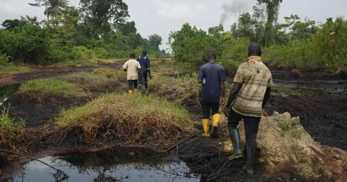 Nigeria injecte 500 millions $ dans l'agriculture : un test de diversification post-pétrole
