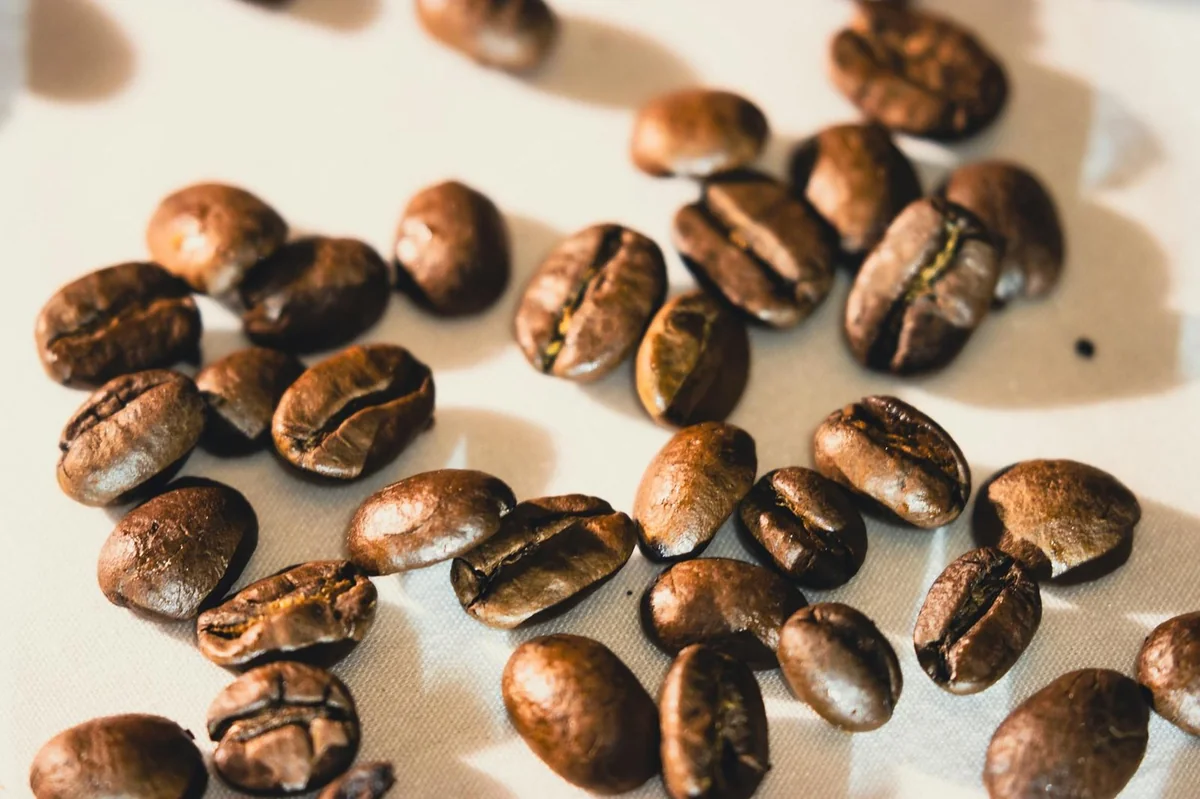 Café ouest-africain en Chine : l’aubaine tarifaire cache des défis structurels