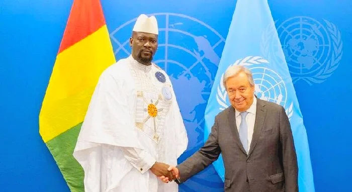 Guinée à l'ECOSOC : un siège pour accélérer la transition énergétique et le développement durable