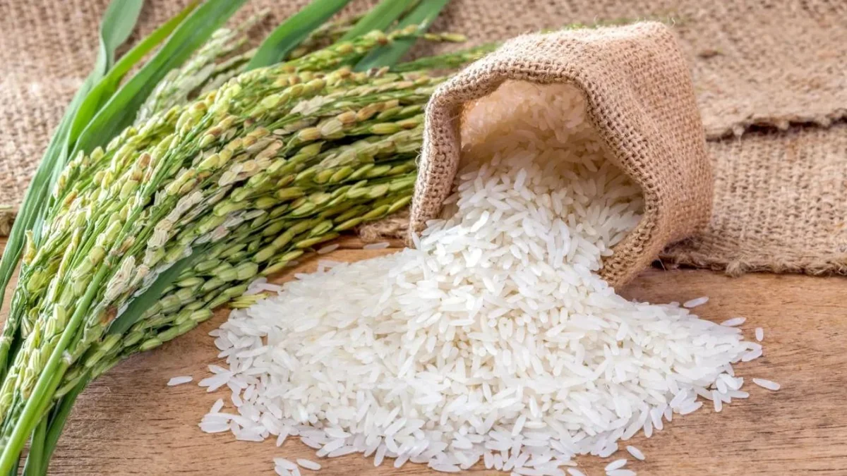 Burkina Faso suspend les importations de riz : souveraineté ou risque ?